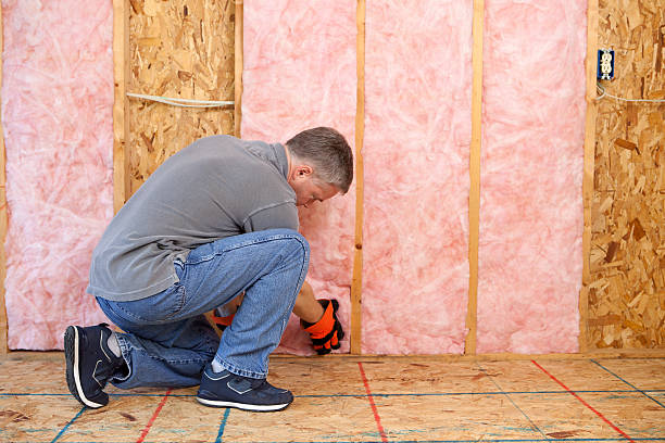 Best Home Insulation Services  in Russell, KY